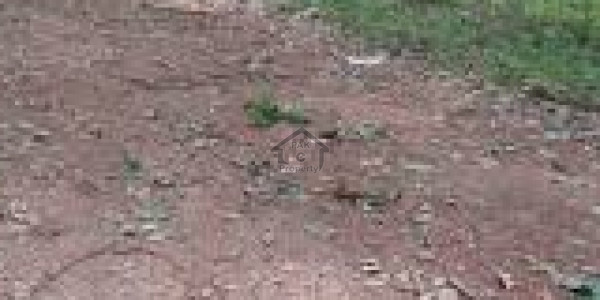 Plot For Sale