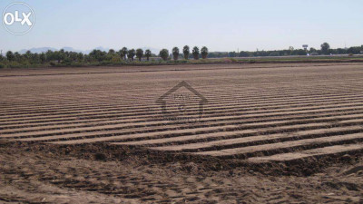 Residential Plot Is Available For Sale