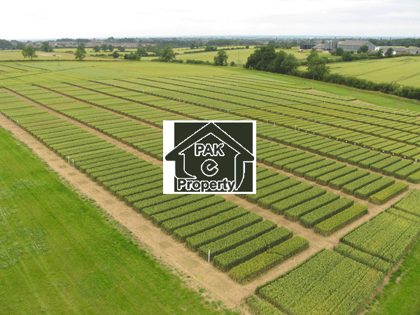 Residential Plot Available For Sale