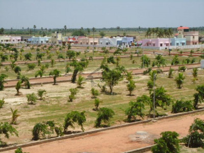 Margalla Face Plot 35x70 In D-12/1