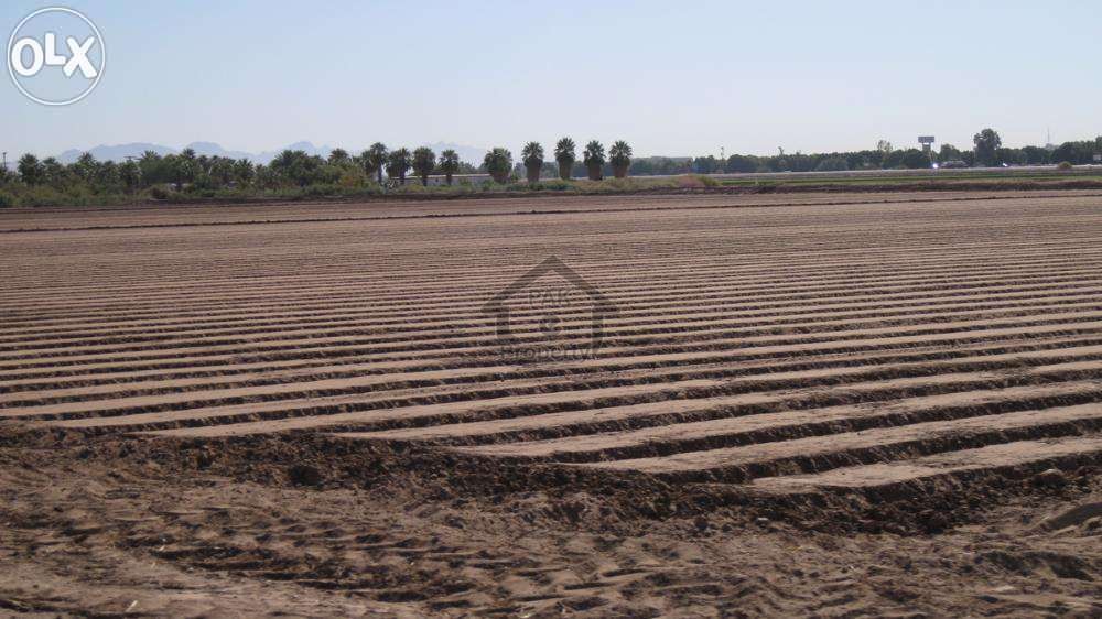 Dha phase 9 prism P block plot available