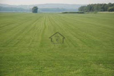 Ferozepur City-10 marla Plot File Is Available For Sale