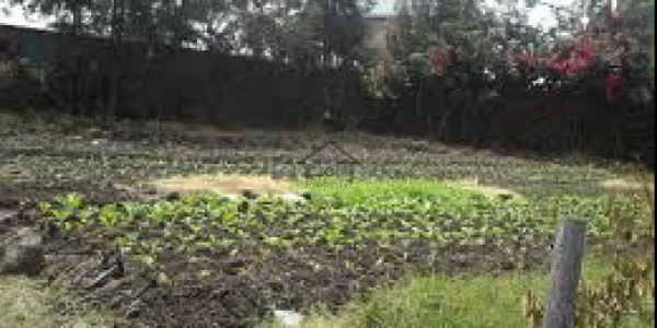 Zaitoon - 5 Marla Plot For Sale In C Block