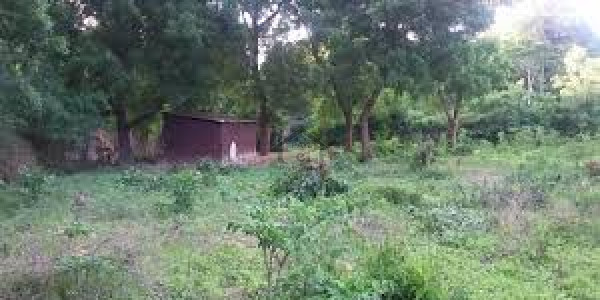 DHA 11 Rahbar, 5 Marla-Plot Is Available For Sale