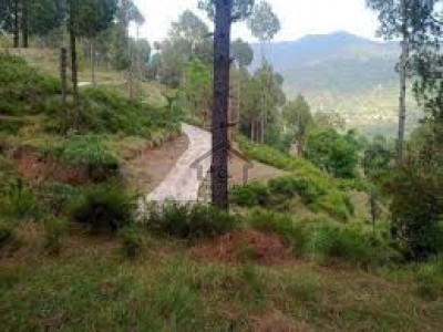 Patriata-   1 Kanal-   Residential Plot  For Sale.