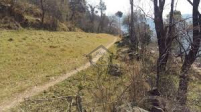 Patriata-   5 Marla-   Residential Plot For Sale.