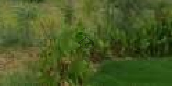 G-14/1- Residential Plot Is Available For Sale IN Islamabad