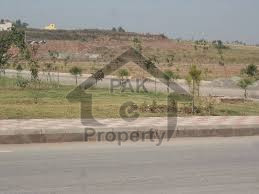 Furnished Farm House Of This Quality Will Not Last