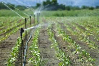 Adiala Road, 400 Kanal Agri Land For Sale.