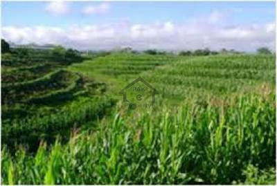 Chakri, 135 Kanal- Land For Sale