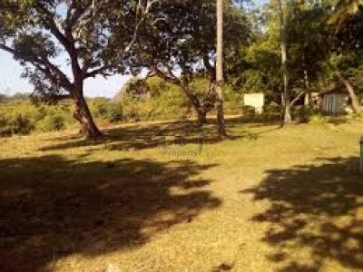 Citi Housing Society - Phase 2, -10 Marla-  Plot# 77B Is Available For Sale
