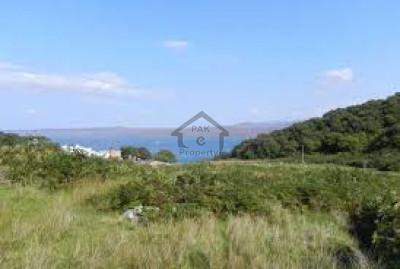 D-12/3, - 11 Marla - plot for sale .