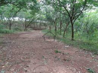 DHA Phase 7 - Block V, - 1 Kanal - Plot For Sale