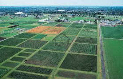 Safari Garden Housing Scheme, - 4 Marla - Commercial Plot For Sale