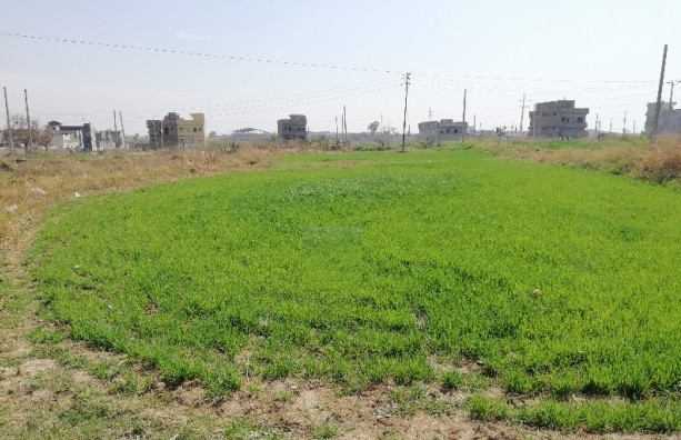 BAHRIA GREEN 75 SQ YARDS PLOTS IN EASY INSTALLMENT PLAN AVAILABLE