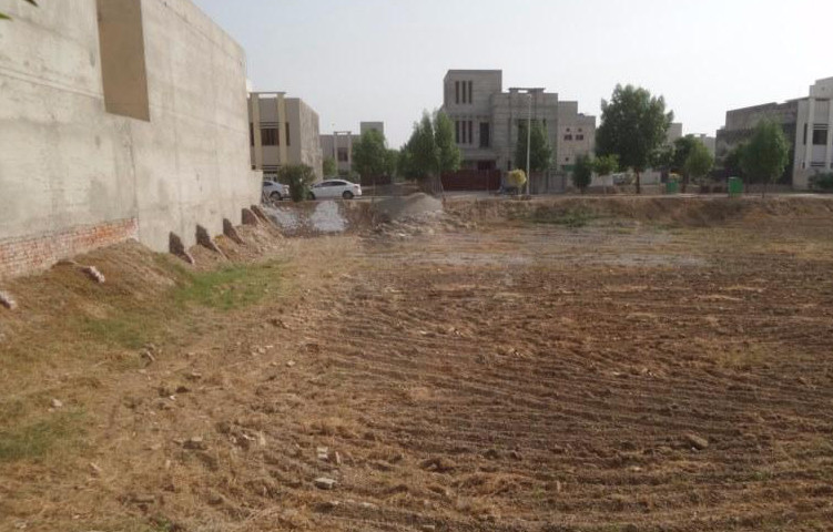 Shah bagh kaller syedan plot for sale.