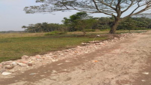Plot for Sale in C-16