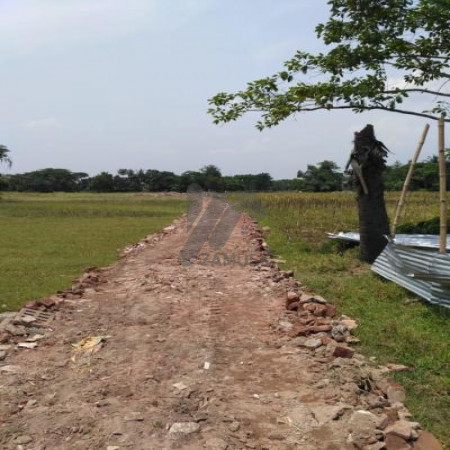 Urgent plot for sale in C-16