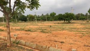 Urgent plot for sale