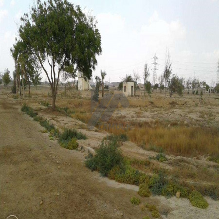 Plot For Sale In D-12 2