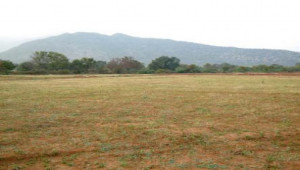 Plot For Sale In F-6 1