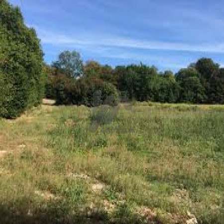 Plot For Sale In I-12/4...