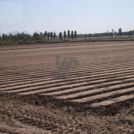 PLOT FOR SALE IN E-12/1