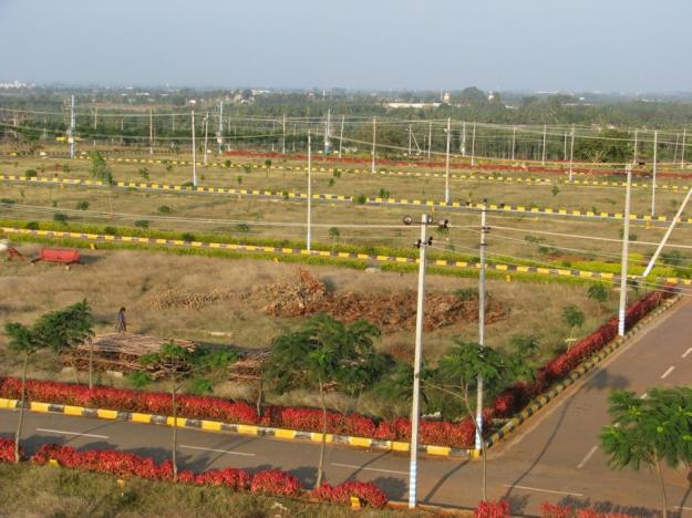 Agricultural Land Is Available For Sale