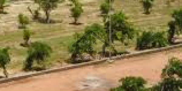 Plot File Is Available For Sale