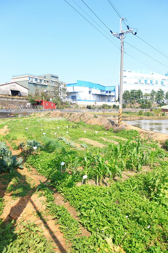 Plot For Sale In MPCHS - Block D