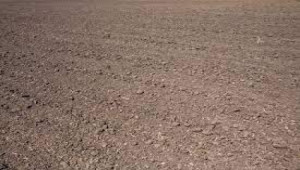 1 kanal Plot For Sale In DHA Phase 6