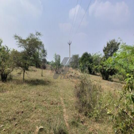 5 Marla Plot For Sale In FDA City - Block D