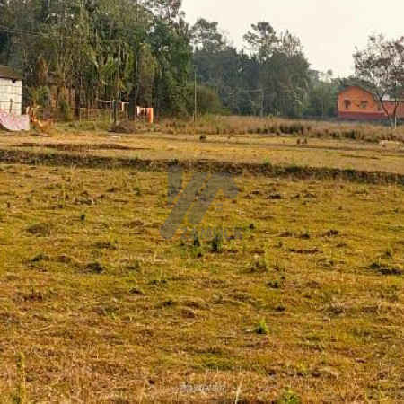 8 Kanal Plot For Sale In Sofia Farm Houses