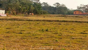 8 Kanal Plot For Sale In Sofia Farm Houses