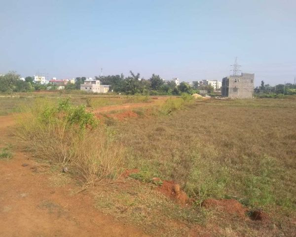 8 Kanal Plot For Sale In Sofia Farm Houses