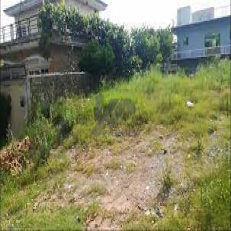 1.1 Kanal Plot For Sale In Sambrial