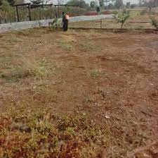 1 Kanal Plot For Sale In Iqbal Avenue