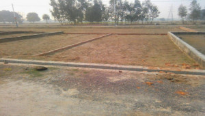 5 Marla Plot For Sale In Khayaban-e-Amin