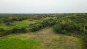 750 Kanal Agriculture Land in Chakwal, Talagang Highway 30 Ft Front